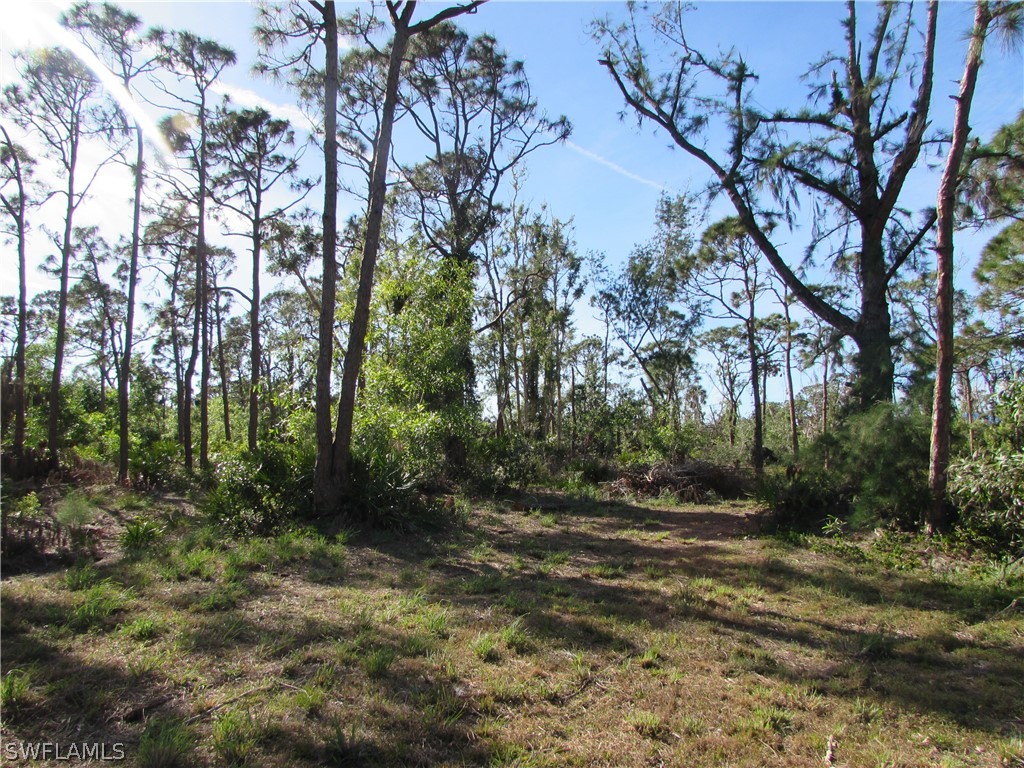 16215 Stringfellow Road Bokeelia, FL 33922 - Photo 10 of 29 Gallery Image 10