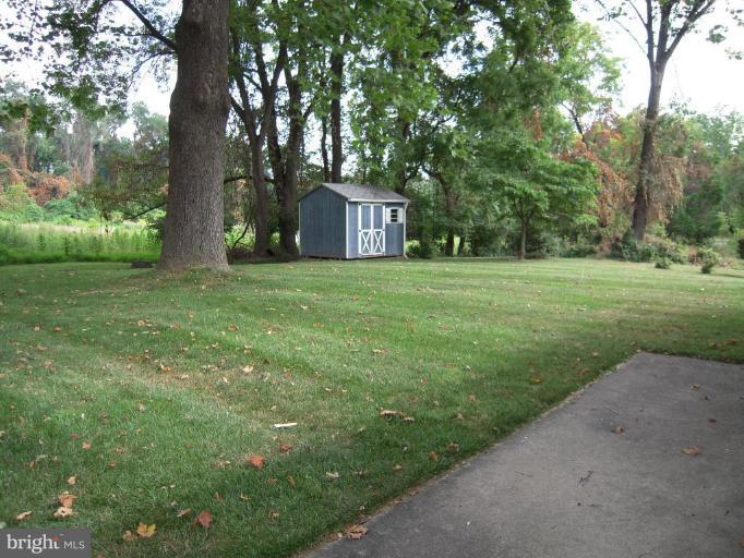 3501 Olympic Street Silver Spring, MD 20906 - Photo 2 of 23 Spacious yard with storage shed nestled tree area