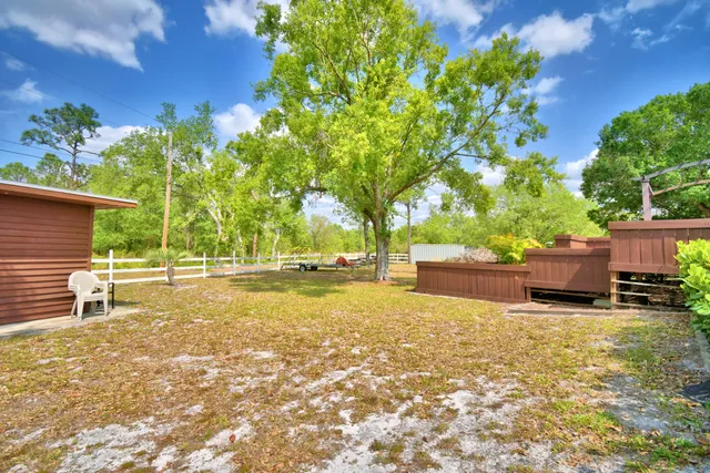 a view of a yard with plants
