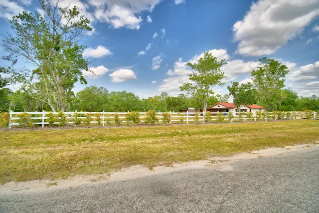 a view of yard with tree