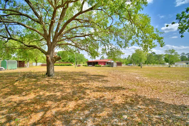 a view of a house with a yard and potted plants
