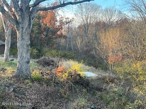 2295 Wolf-Pen Road Pendleton, KY 40055 - Photo 7 of 8 101232
