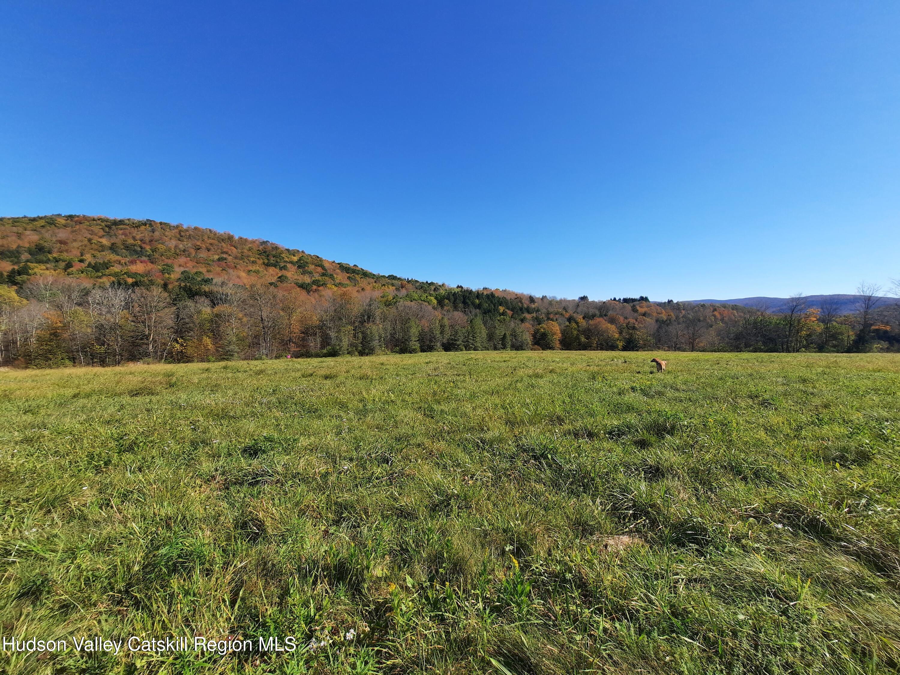 Tbd Upper Dingle Hill Road Andes, NY 13731 - Photo 36 of 44 20251001_141403
