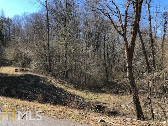 0 Wilson Road Whitesburg, GA 30185 - Photo 1 of 1 a view of a yard with trees