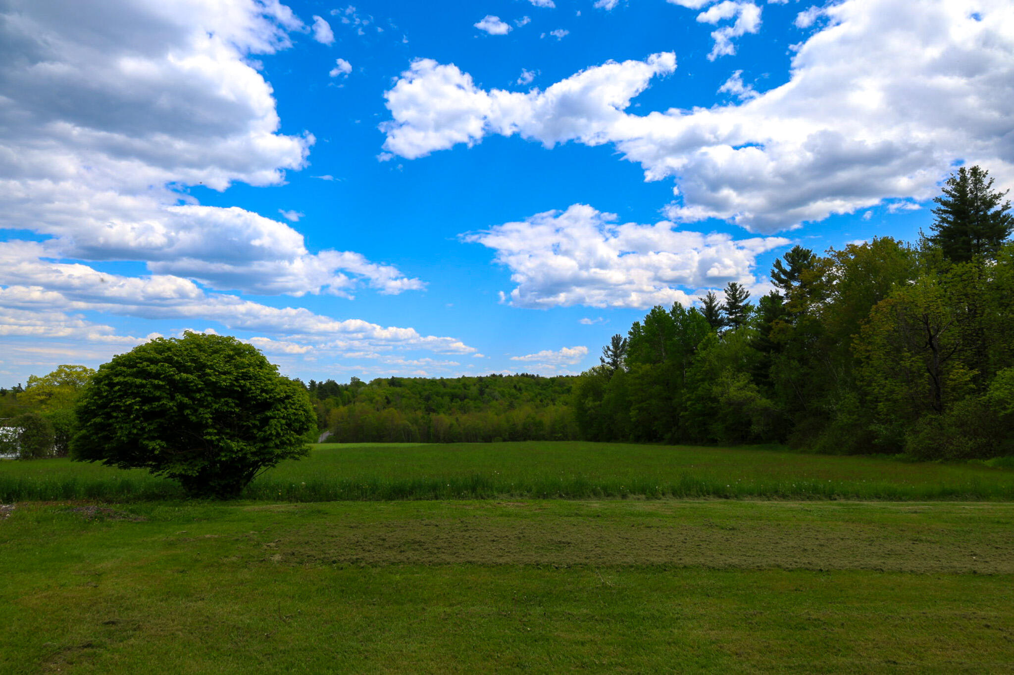 856 Weeks Mills Road New Sharon, ME 04955 - Photo 99 of 99 J83A0521