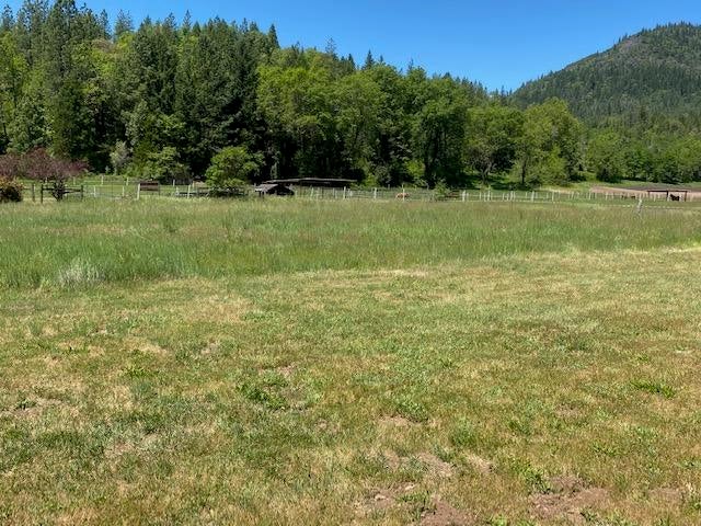 545 Elk Creek (4)