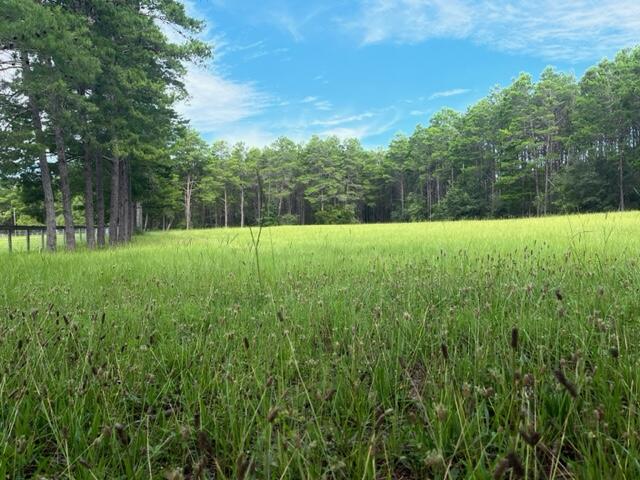 2748 Rock Hill Road DeFuniak Springs, FL 32435 - Photo 15 of 43 IMG_4684