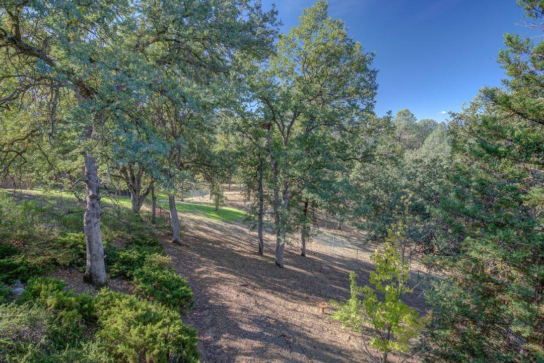 380 Franciscan Trail Redding, CA 96003 - Photo 51 of 78 a view of a forest with trees