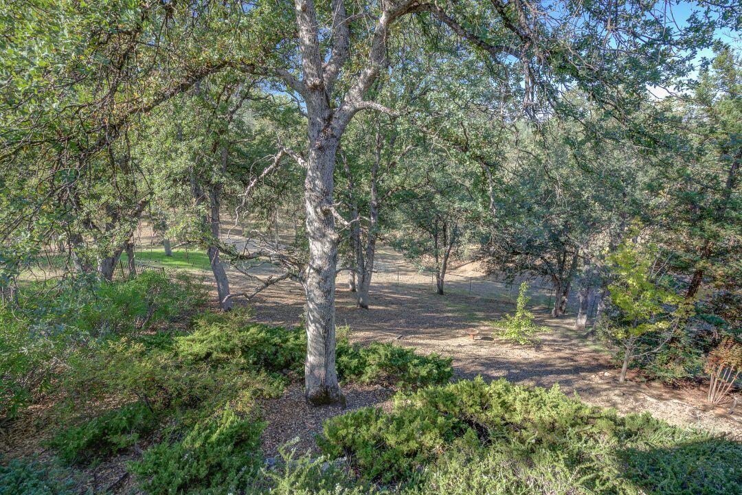 380 Franciscan Trail Redding, CA 96003 - Photo 52 of 78 a backyard of a house with lots of green space