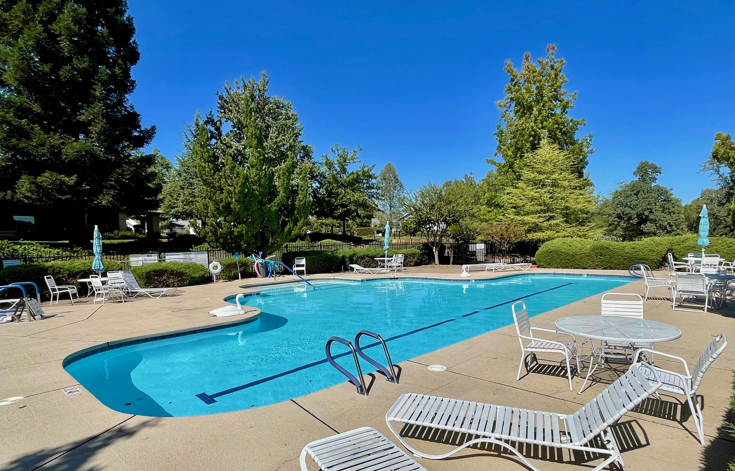 380 Franciscan Trail Redding, CA 96003 - Photo 58 of 78 pool 1