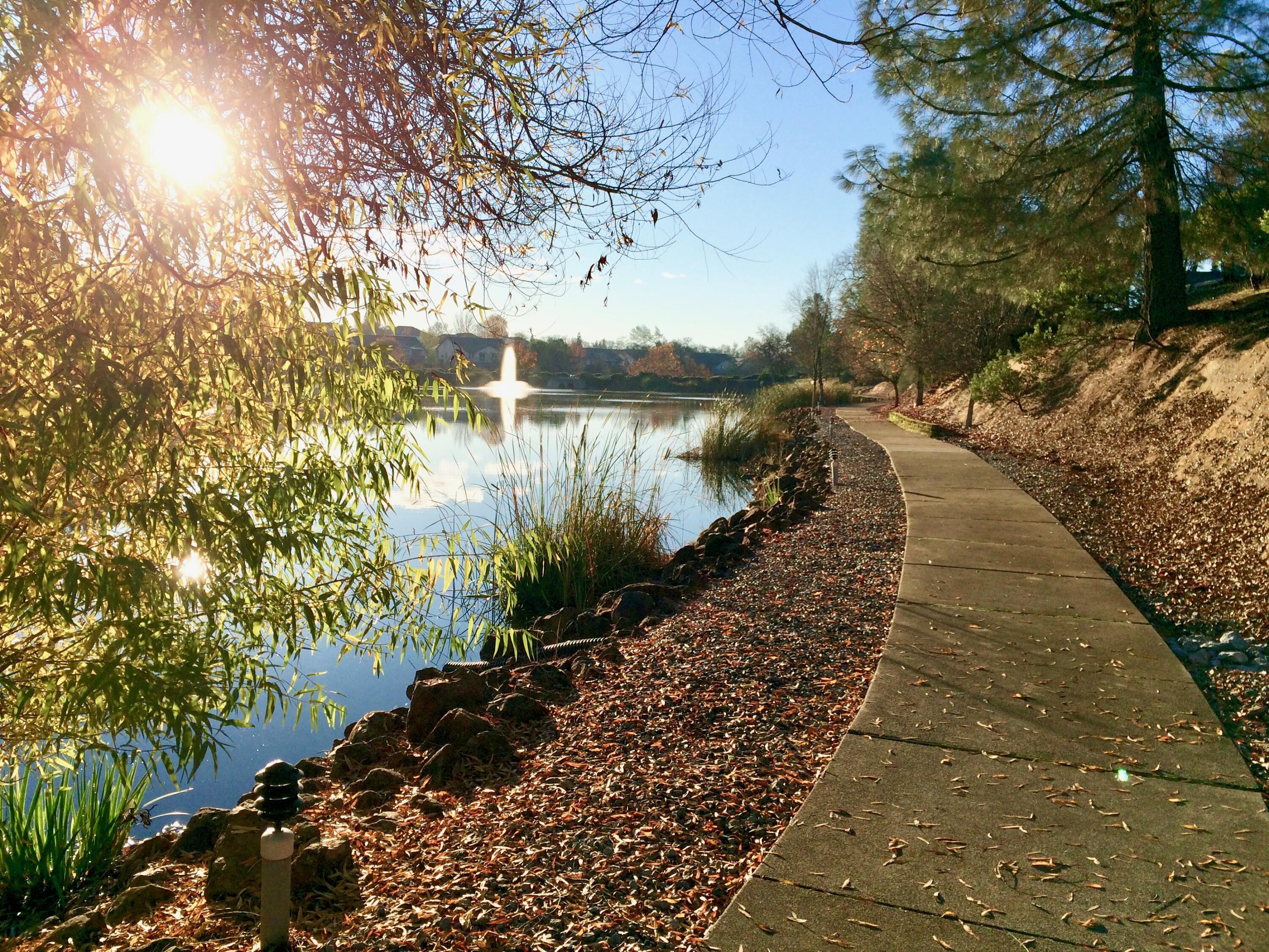 380 Franciscan Trail Redding, CA 96003 - Photo 71 of 78 a view of a pathway both side of yard