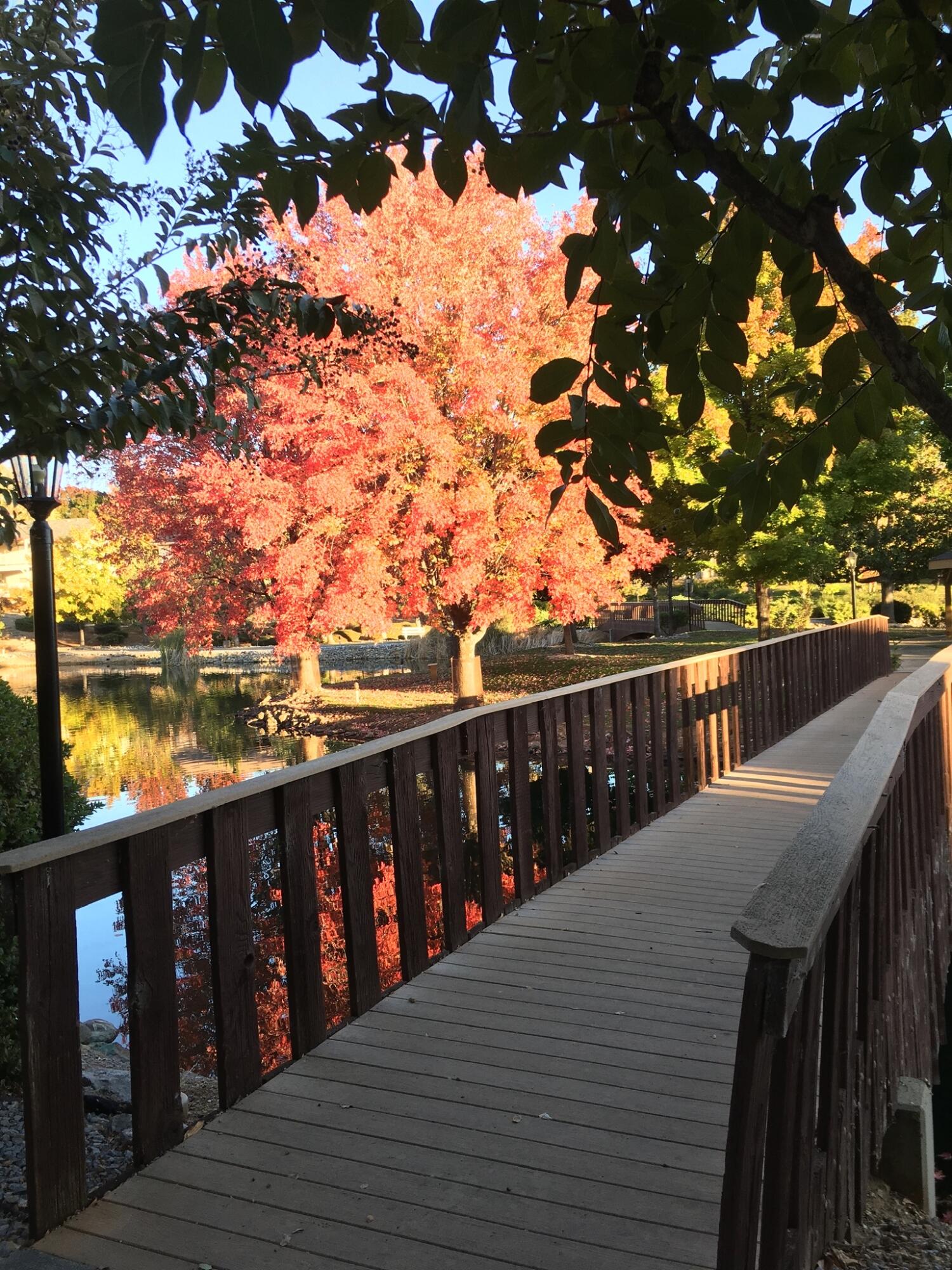 380 Franciscan Trail Redding, CA 96003 - Photo 72 of 78 bridgevert