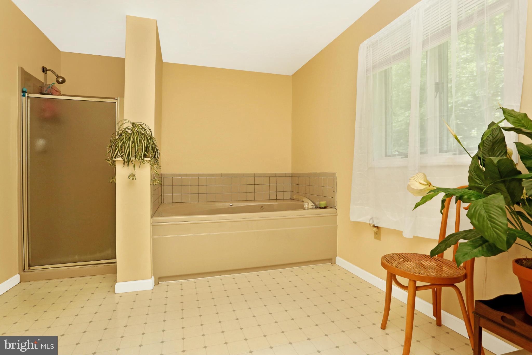 10275 Highland School Road Frederick, MD 21702 - Photo 17 of 30 Bath (Master)