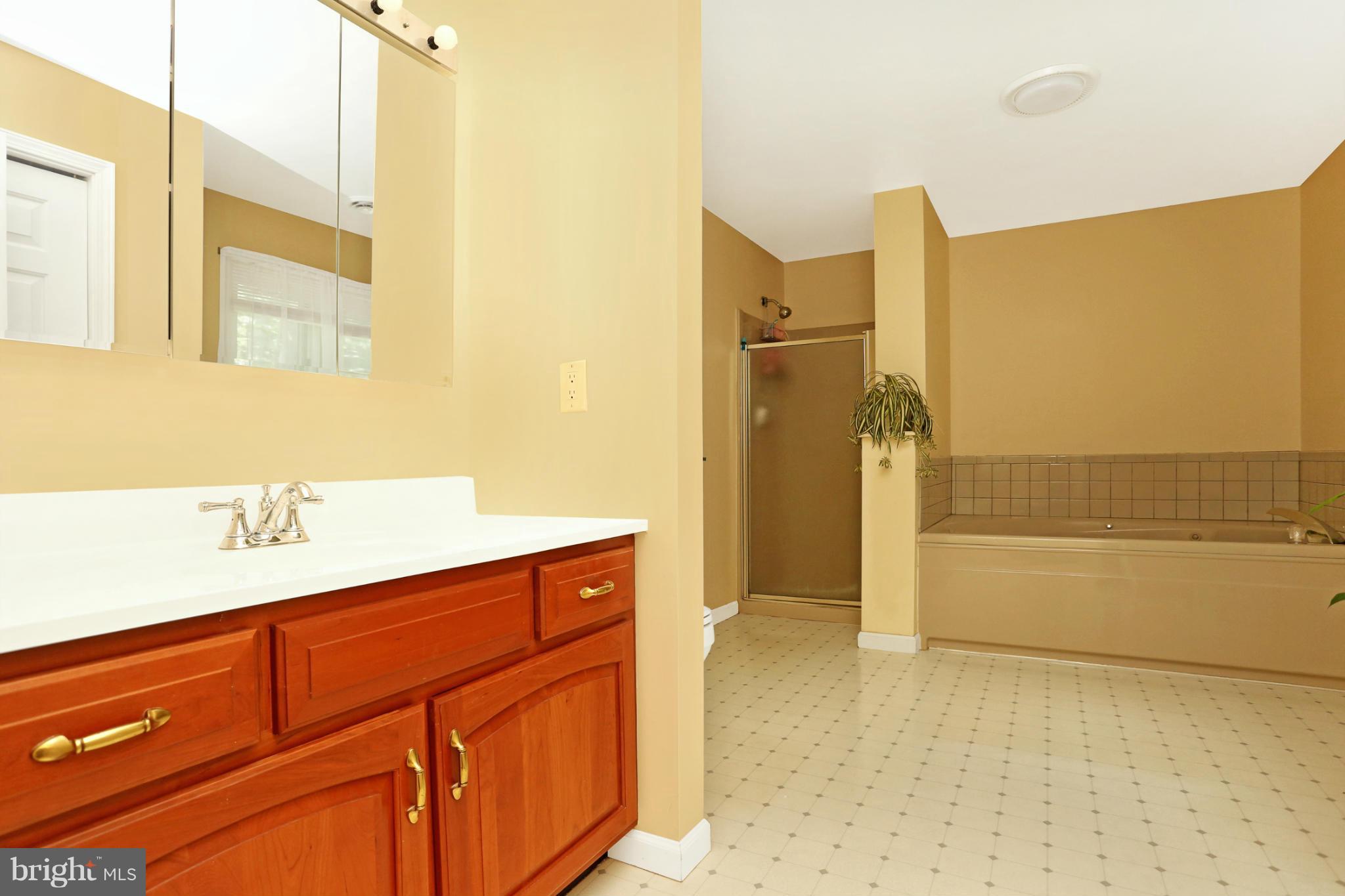 10275 Highland School Road Frederick, MD 21702 - Photo 18 of 30 Bath (Master)