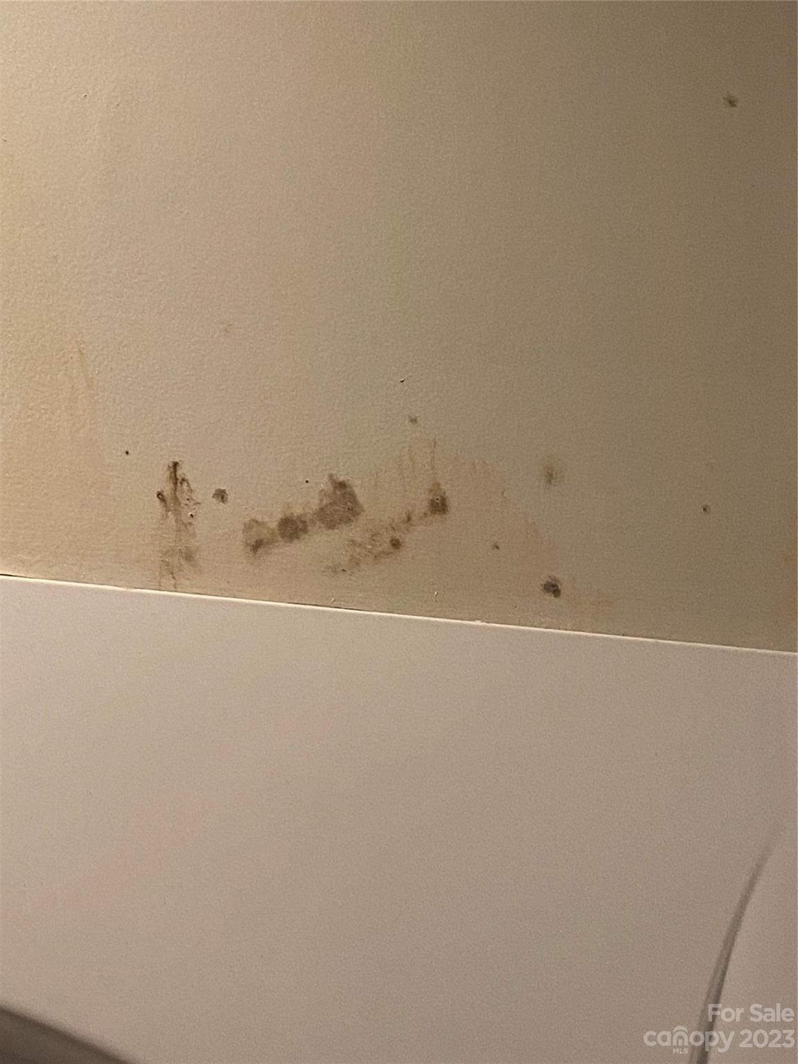 7808 Kuck Road Mint Hill, NC 28227 - Photo 27 of 34 close up of a white marble wall