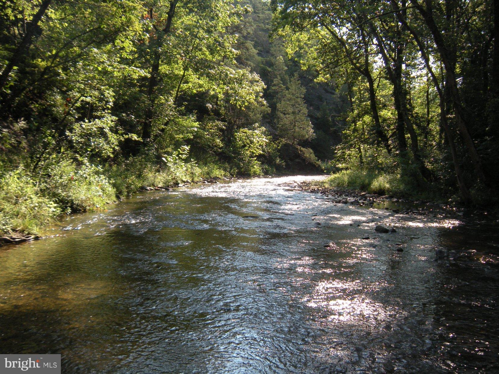 a view of a lake with lots of trees