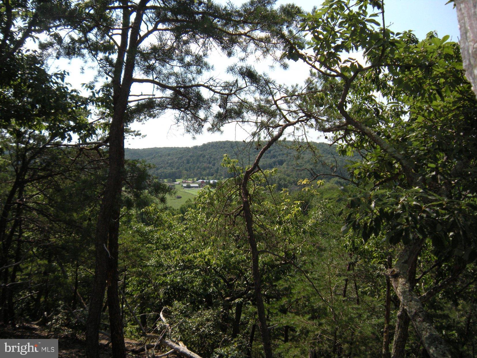 Star Tannery Road Star Tannery, VA 22654 - Photo 2 of 28 a view of mountain view with lots of trees