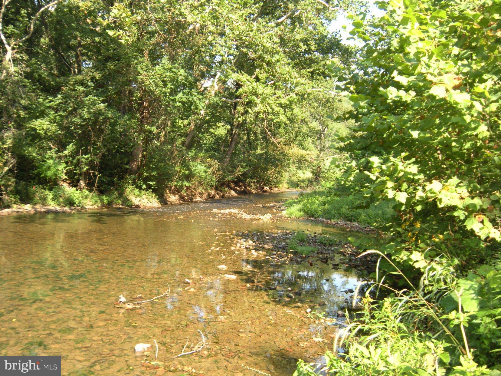 Star Tannery Road Star Tannery, VA 22654 - Photo 12 of 28 a view of an ocean