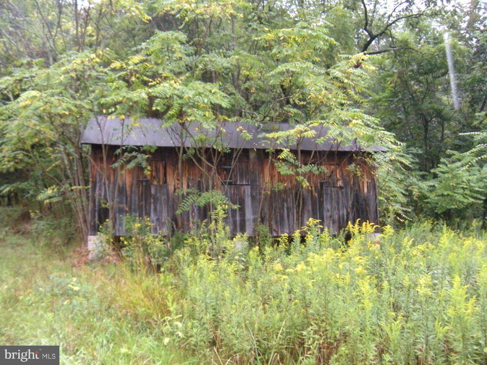 Star Tannery Road Star Tannery, VA 22654 - Photo 15 of 28 a backyard of a house with lots of green space