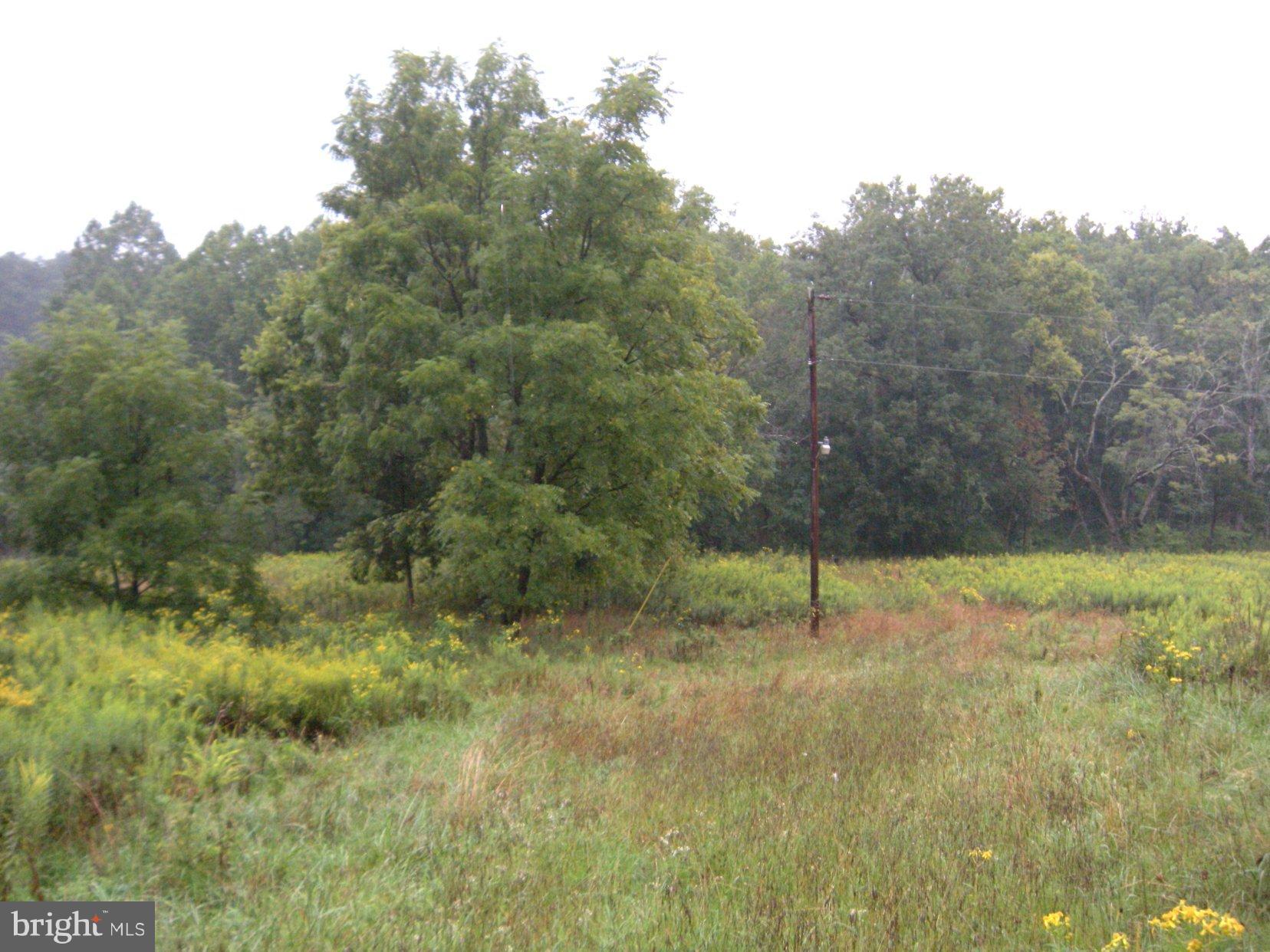 Star Tannery Road Star Tannery, VA 22654 - Photo 16 of 28 a view of outdoor space and yard