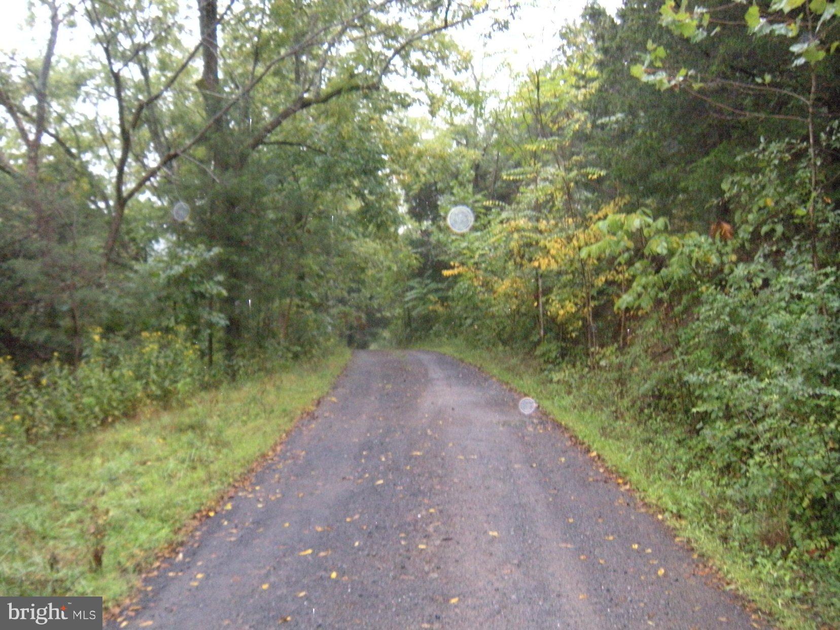 Star Tannery Road Star Tannery, VA 22654 - Photo 23 of 28 a view of a dirt pathway both side of yard