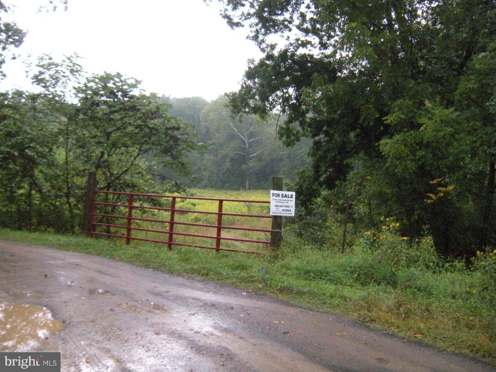 Star Tannery Road Star Tannery, VA 22654 - Photo 26 of 28 a green field with trees in the background