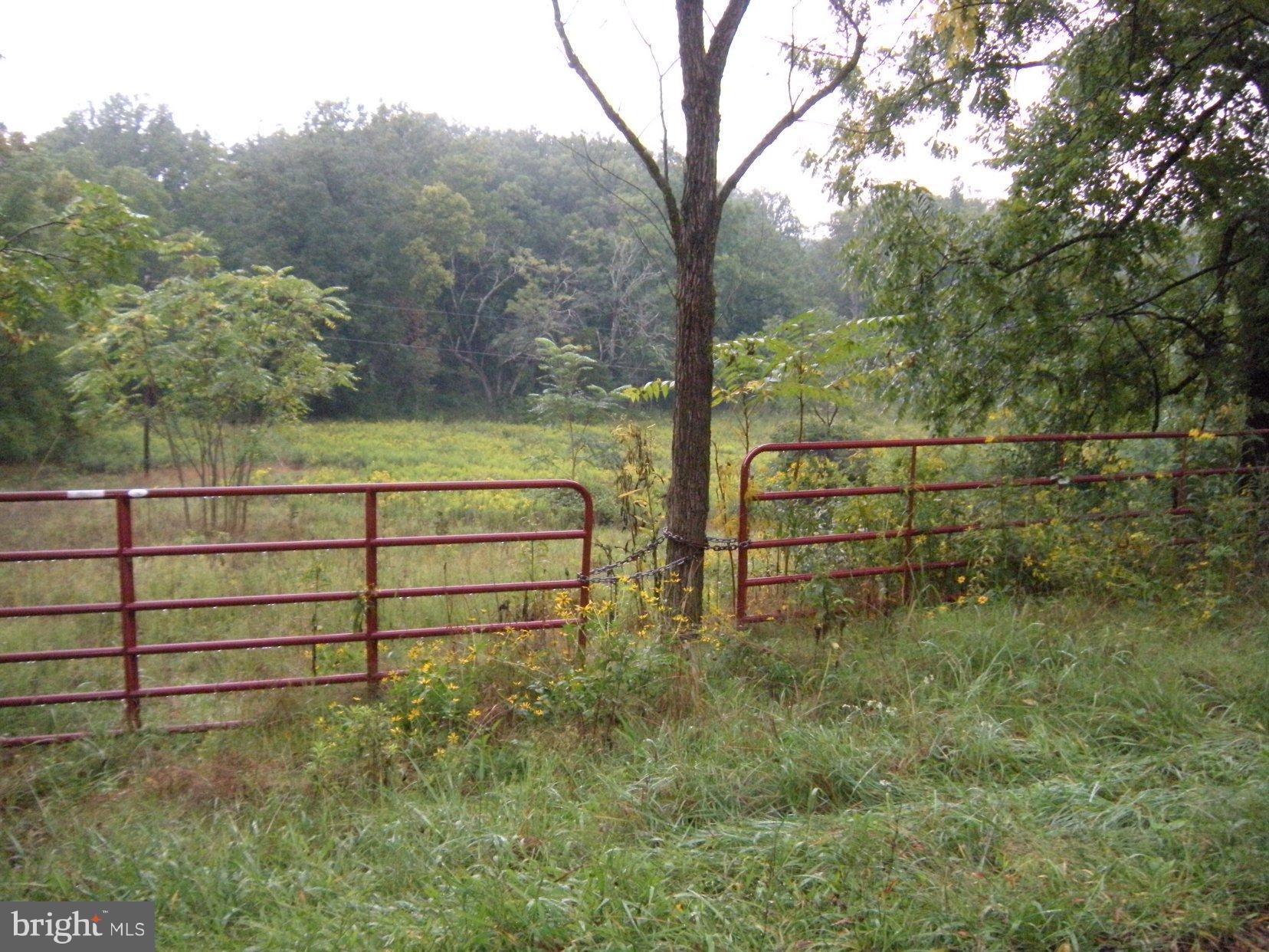 Star Tannery Road Star Tannery, VA 22654 - Photo 27 of 28 a view of outdoor space and trees