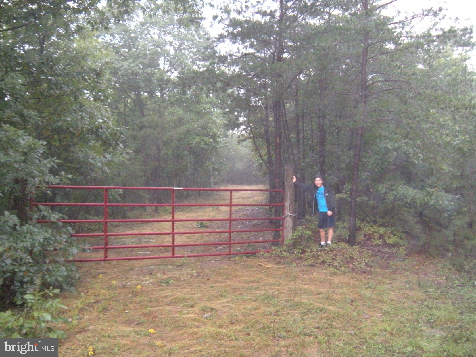 Star Tannery Road Star Tannery, VA 22654 - Photo 28 of 28 a view of backyard and wooden fence