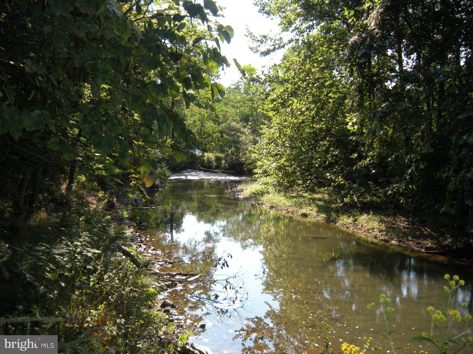 Star Tannery Road Star Tannery, VA 22654 - Photo 8 of 28 a view of lake
