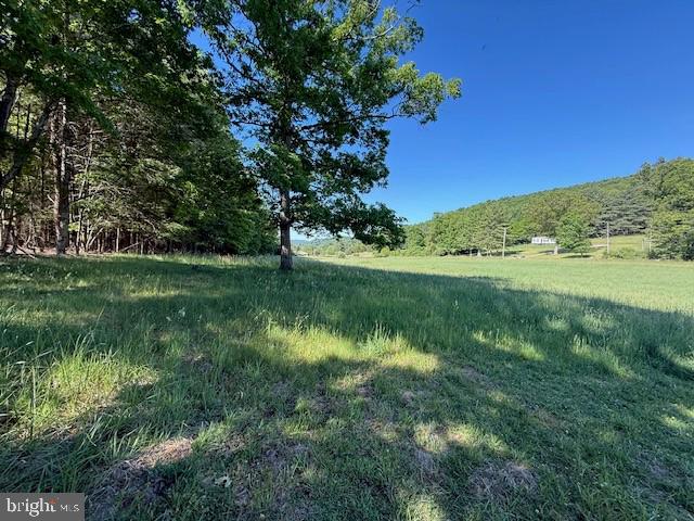 184 Skiles- Pitsenbarger Road Franklin, WV 26807 - Photo 28 of 39 Serene countryside retreat awaits.