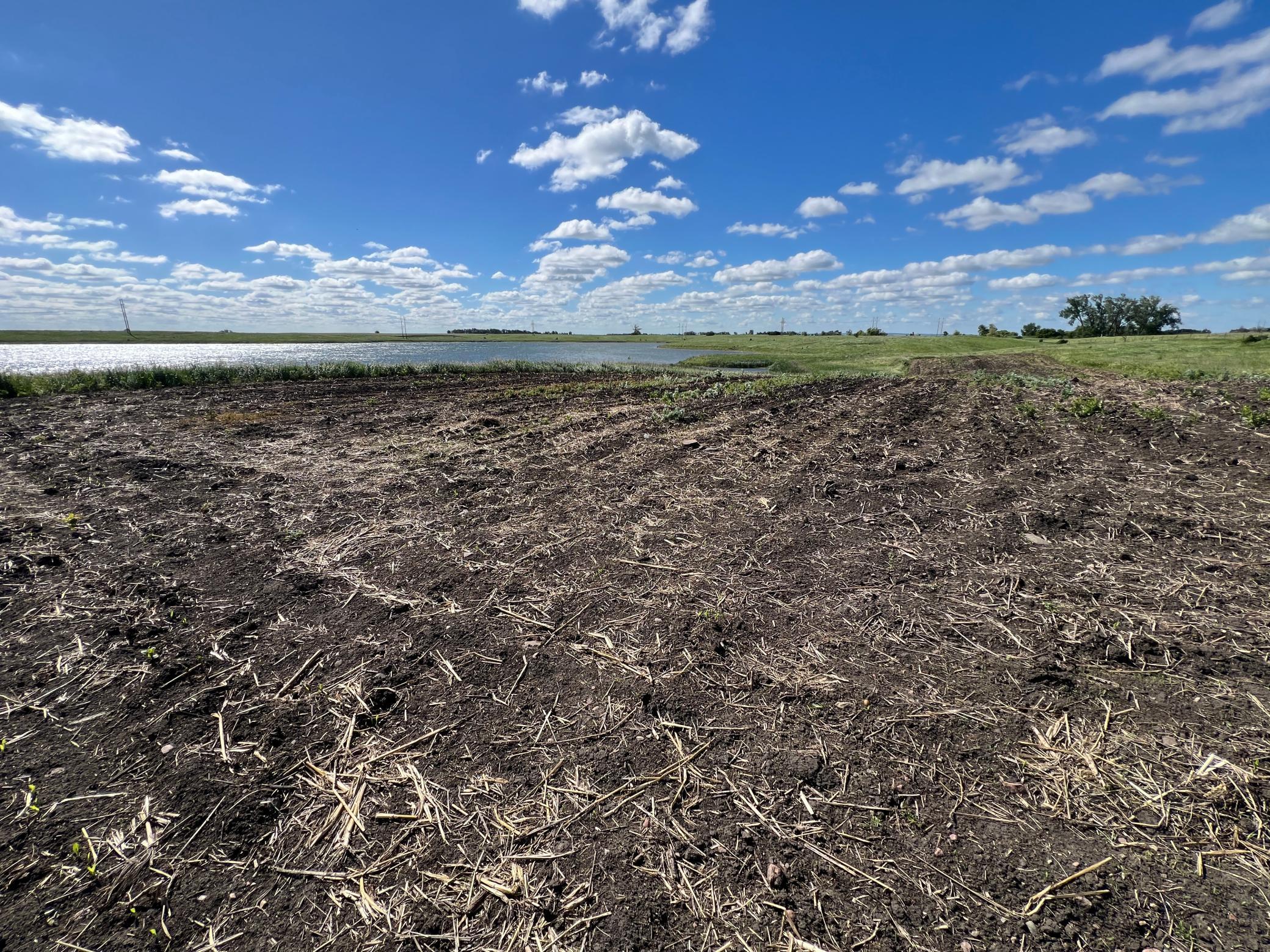 Tbd Southeast Tbd Se 90th Street Rutland, ND 58067 - Photo 91 of 105
