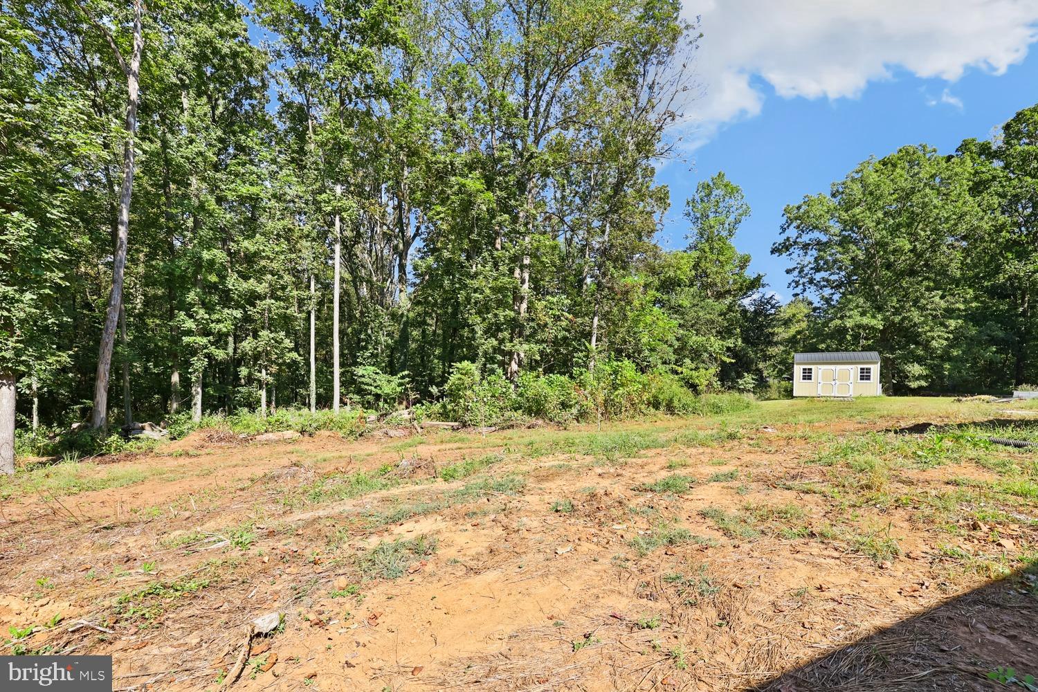 9463 Rogues Road Midland, VA 22728 - Photo 31 of 35 a view of a yard with plants and trees