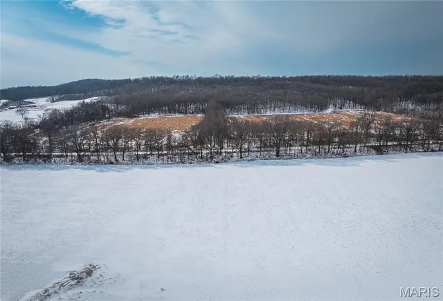 $550,000 | 25301 State Hwy AB, Essex, MO 63846