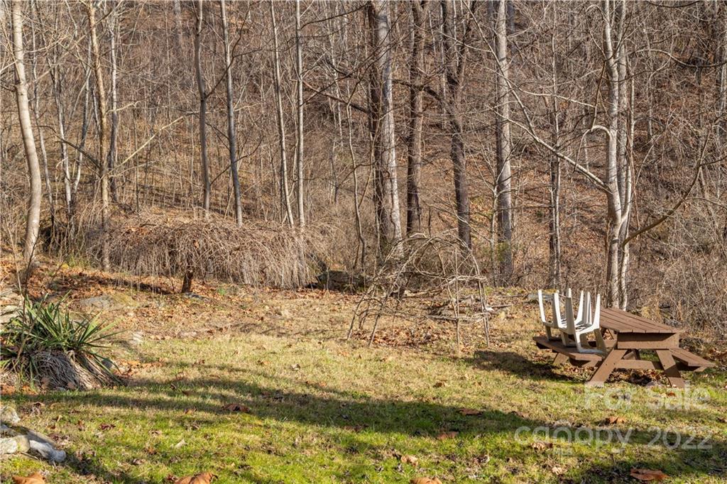 7442 Little Pine Road Marshall, NC 28753 - Photo 22 of 35 a view of yard