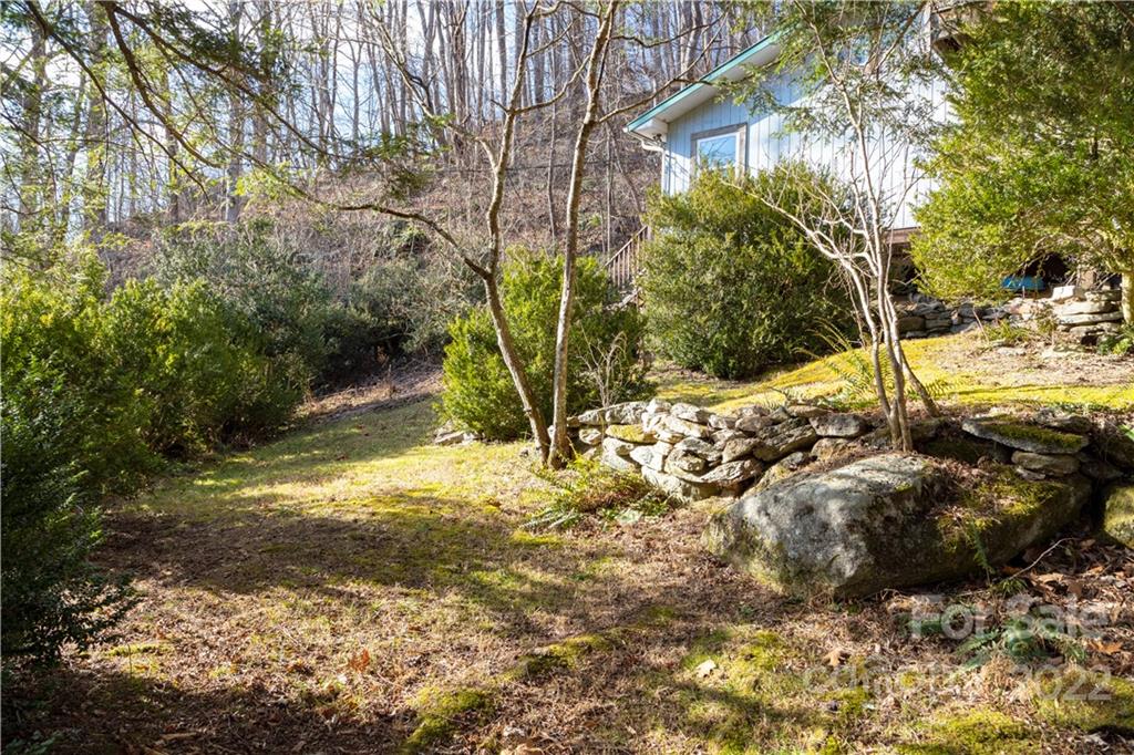 7442 Little Pine Road Marshall, NC 28753 - Photo 24 of 35 a view of a yard with plants