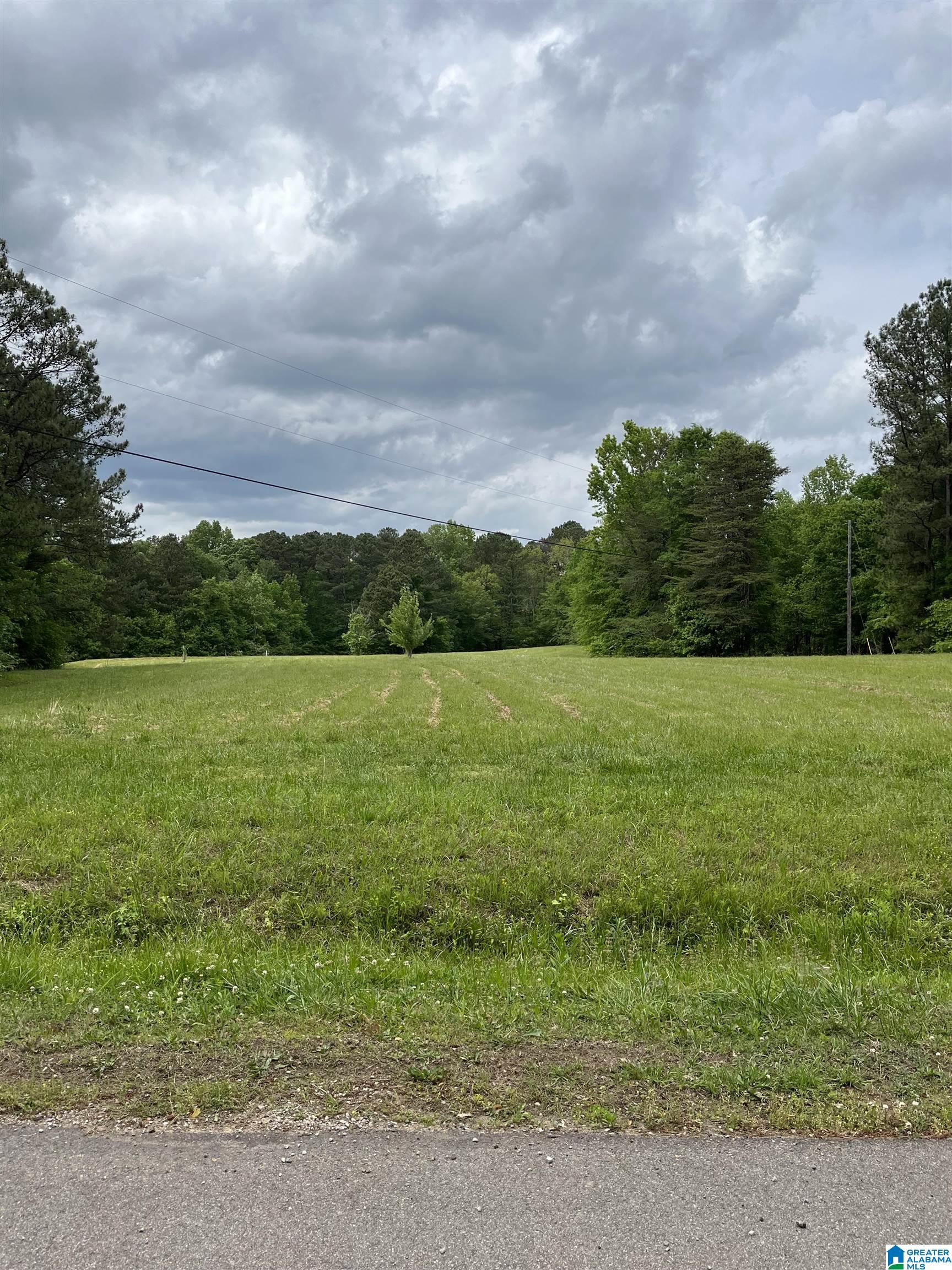 9538 Hicks Road, Unit 1 Pinson, AL 35126 - Photo 1 of 3