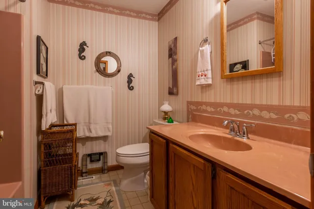 a bathroom with a sink a toilet and a mirror