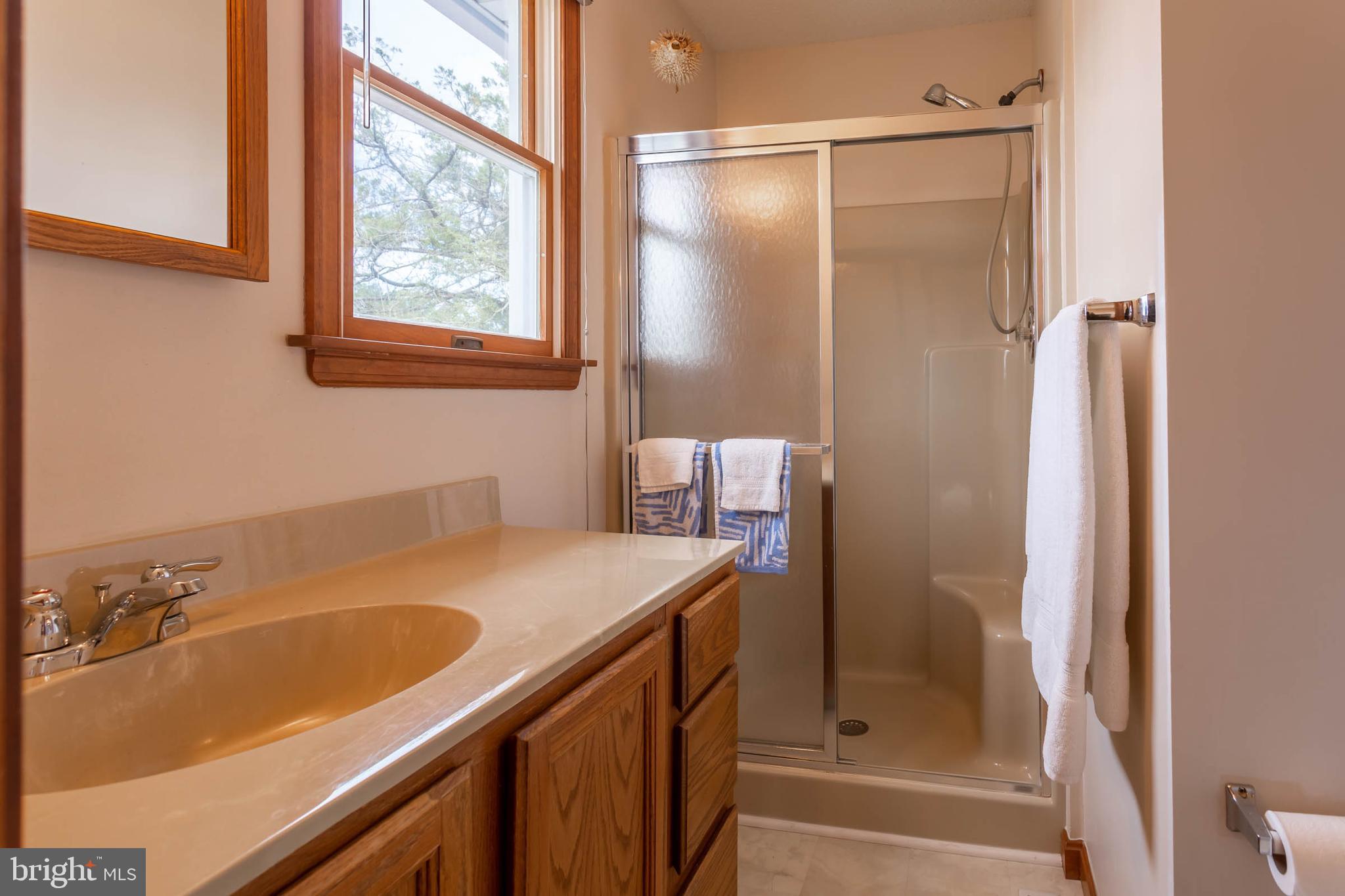 32396 Holly Ter Road Ocean View, DE 19970 - Photo 22 of 42 a bathroom with a tub sink vanity and a mirror