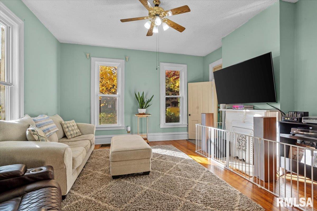 342 South Douglas Avenue Springfield, IL 62704 - Photo 8 of 37