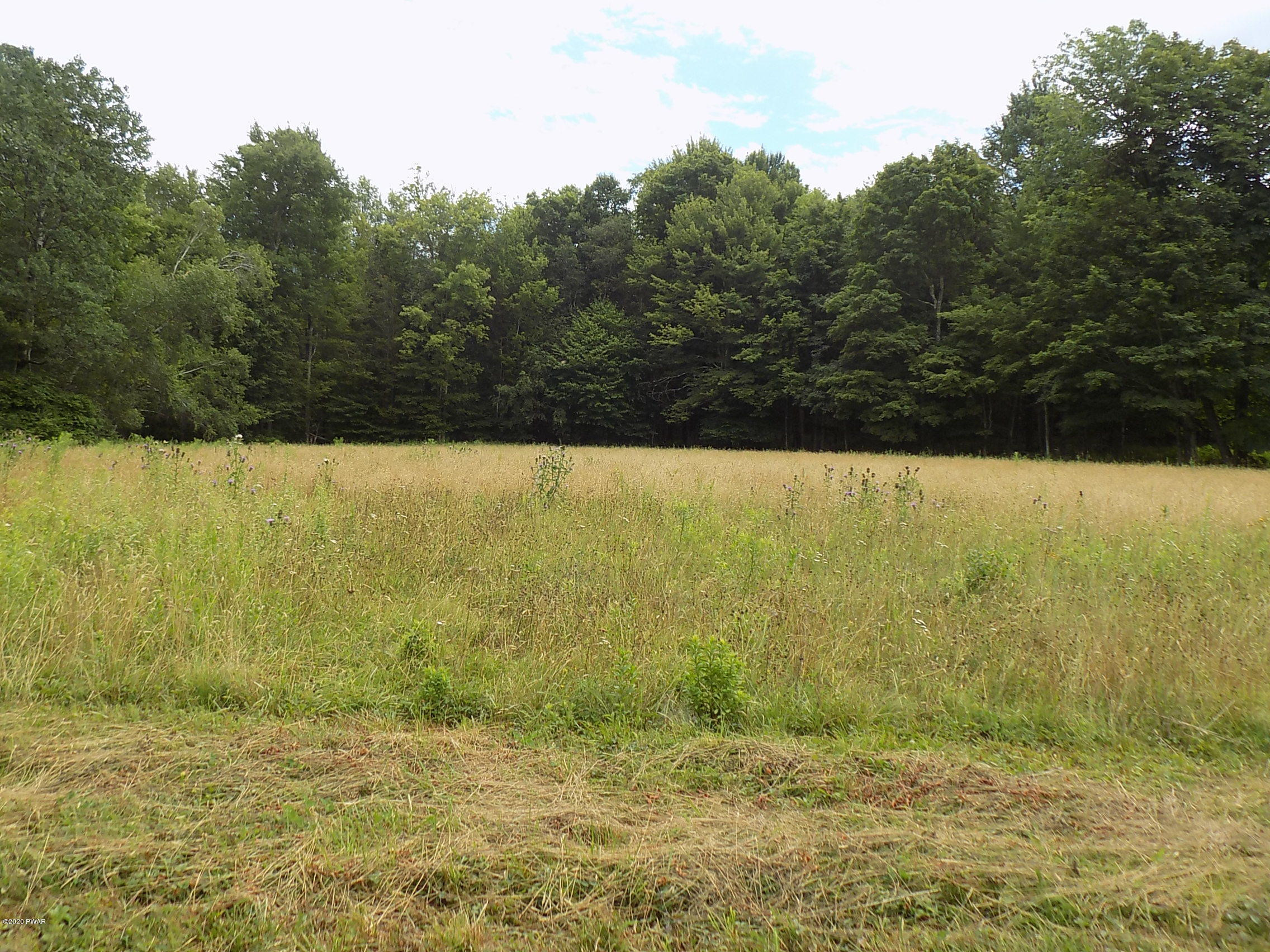 Lot 9 Phillips Road Newfoundland, PA 18445 - Photo 10 of 17