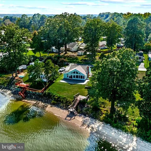 a view of a tree with a yard