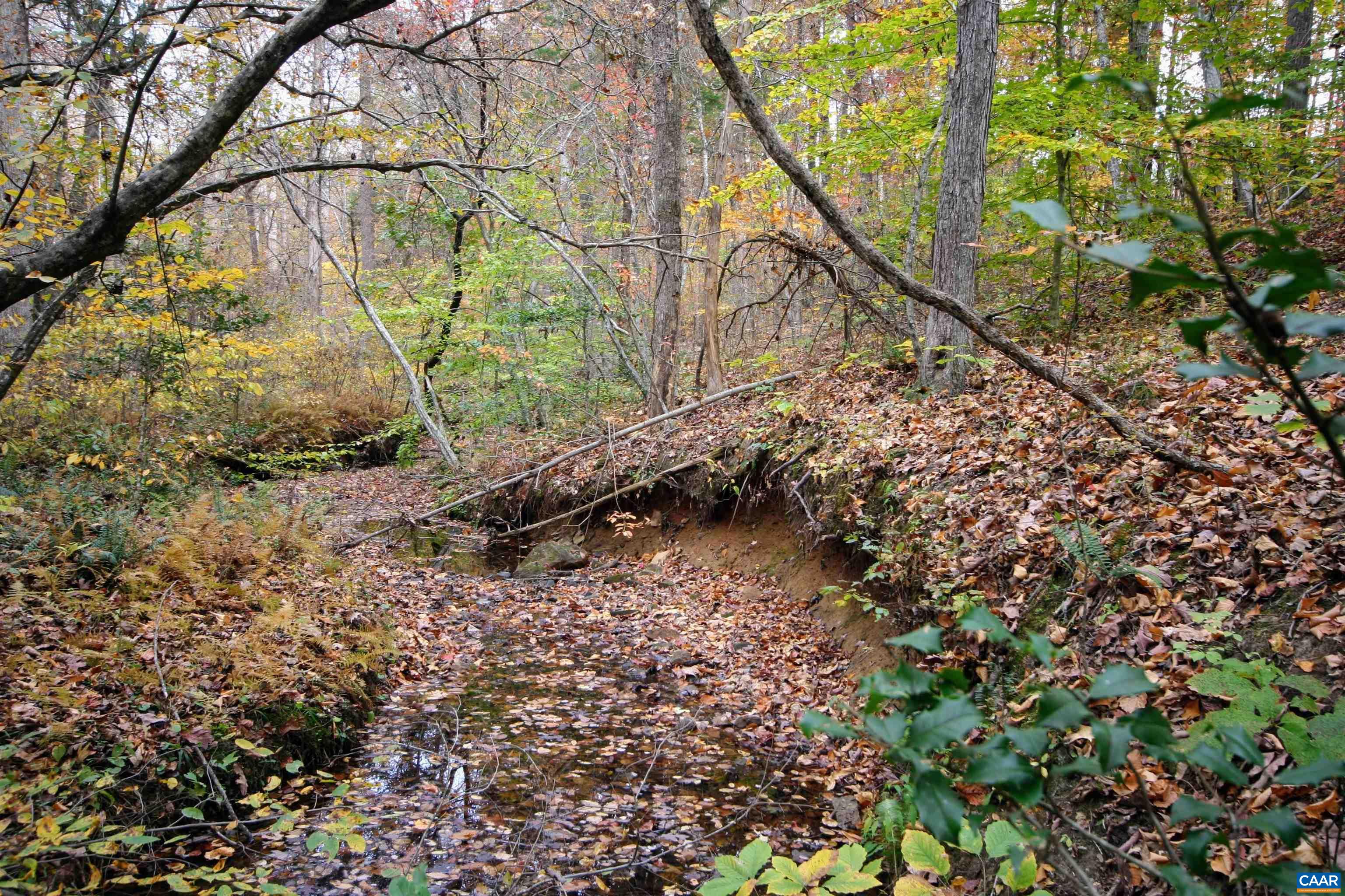 Tba Ridge Road Arvonia, VA 23004 - Photo 12 of 50