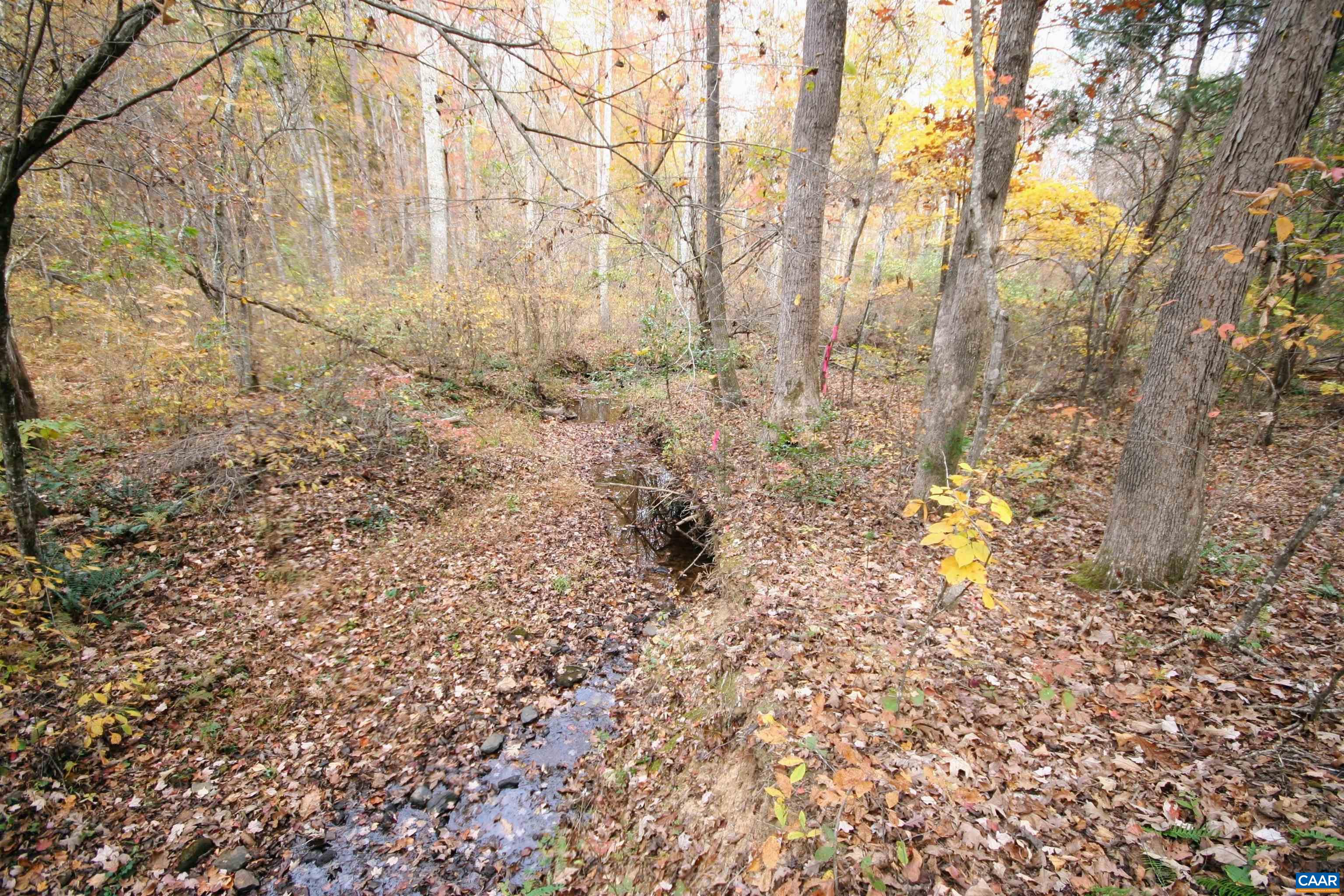 Tba Ridge Road Arvonia, VA 23004 - Photo 14 of 50 a plant view