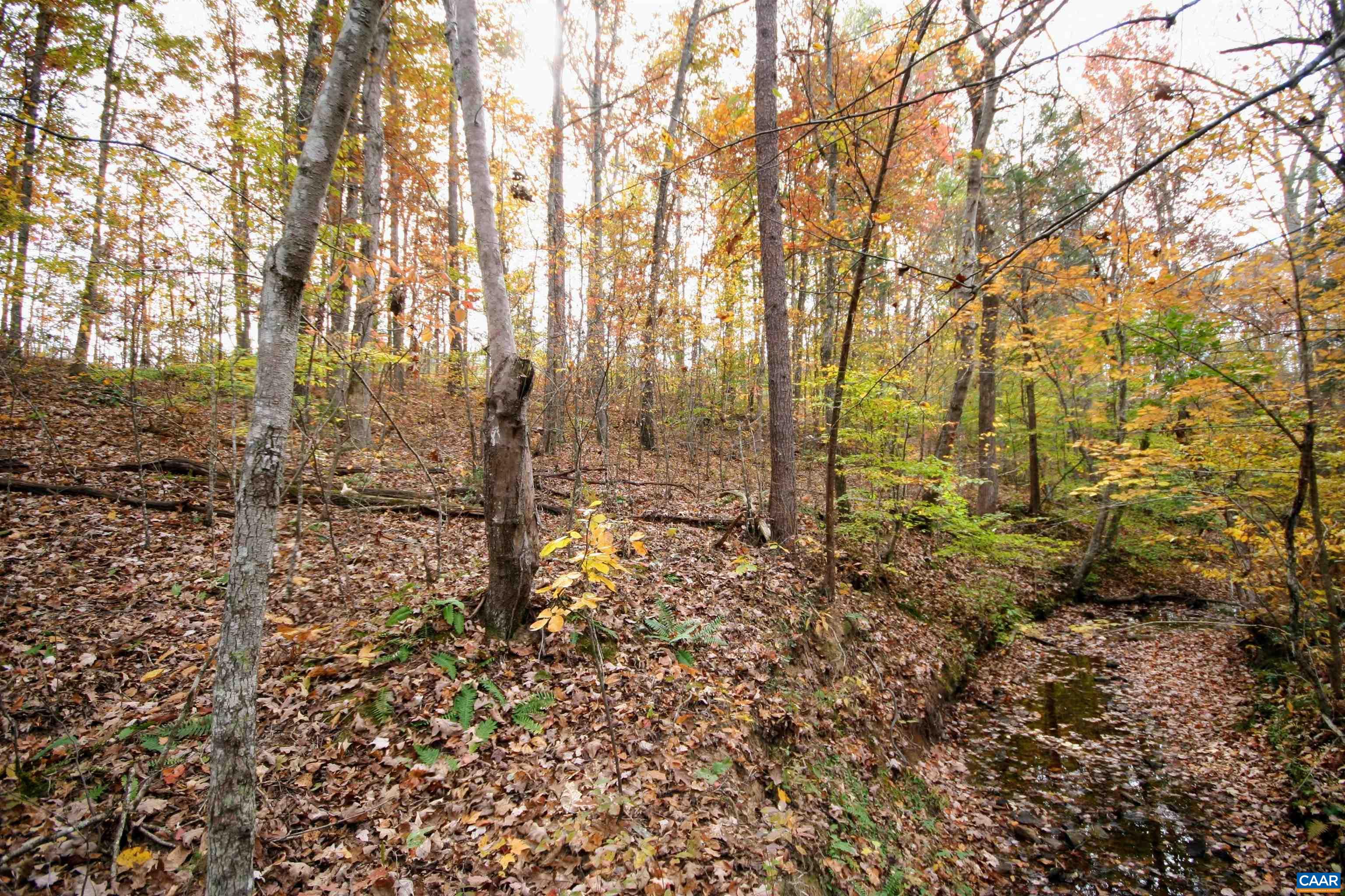 Tba Ridge Road Arvonia, VA 23004 - Photo 16 of 50 a view of a yard with trees