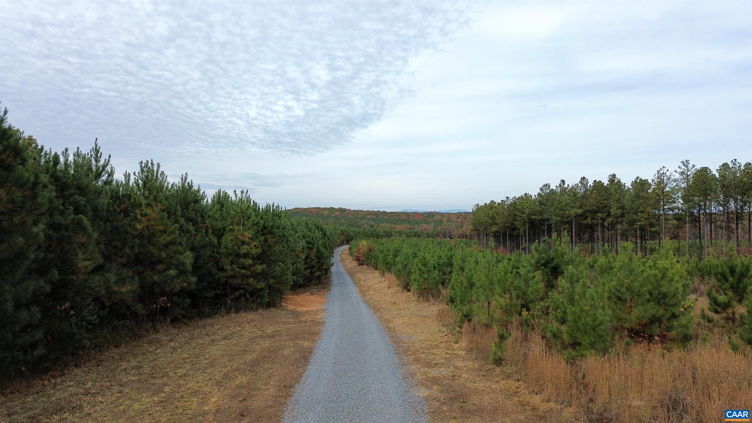 Tba Ridge Road Arvonia, VA 23004 - Photo 29 of 50 a view of a lake with a yard