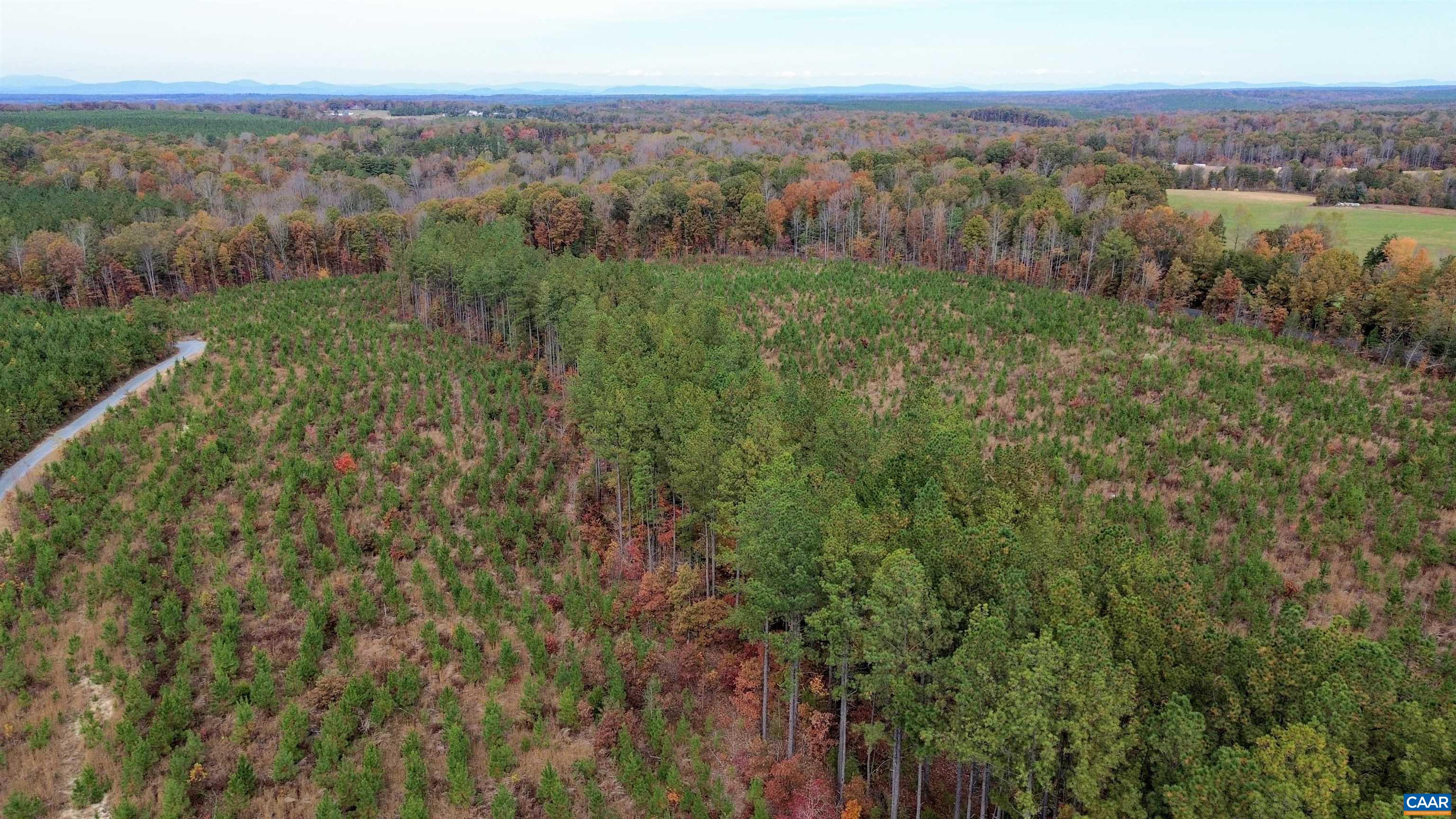 Tba Ridge Road Arvonia, VA 23004 - Photo 35 of 50 a view of a city with lush green forest
