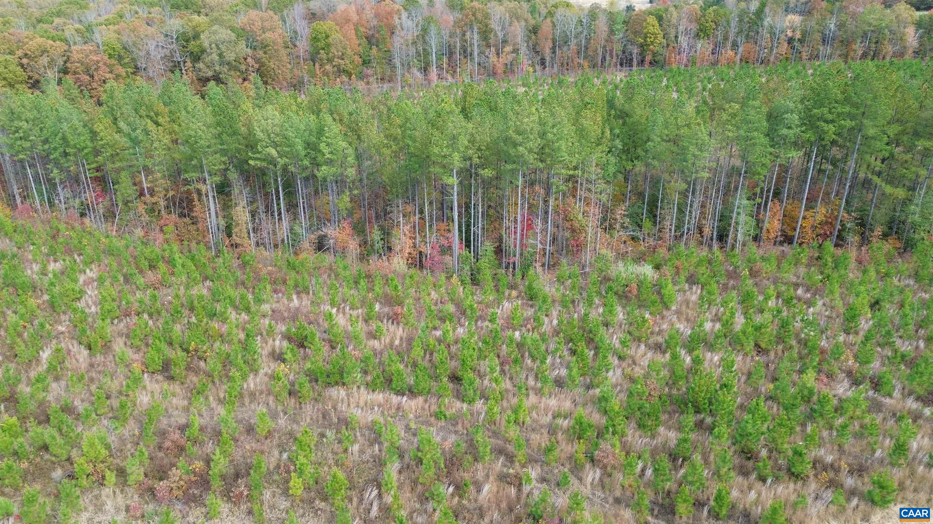 Tba Ridge Road Arvonia, VA 23004 - Photo 38 of 50 a view of a garden with a tree