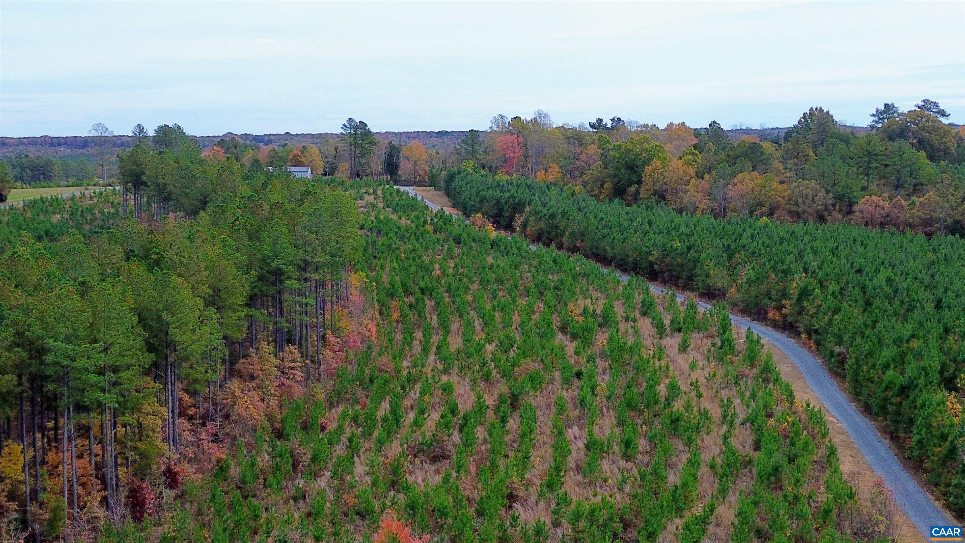 Tba Ridge Road Arvonia, VA 23004 - Photo 40 of 50 a view of a city