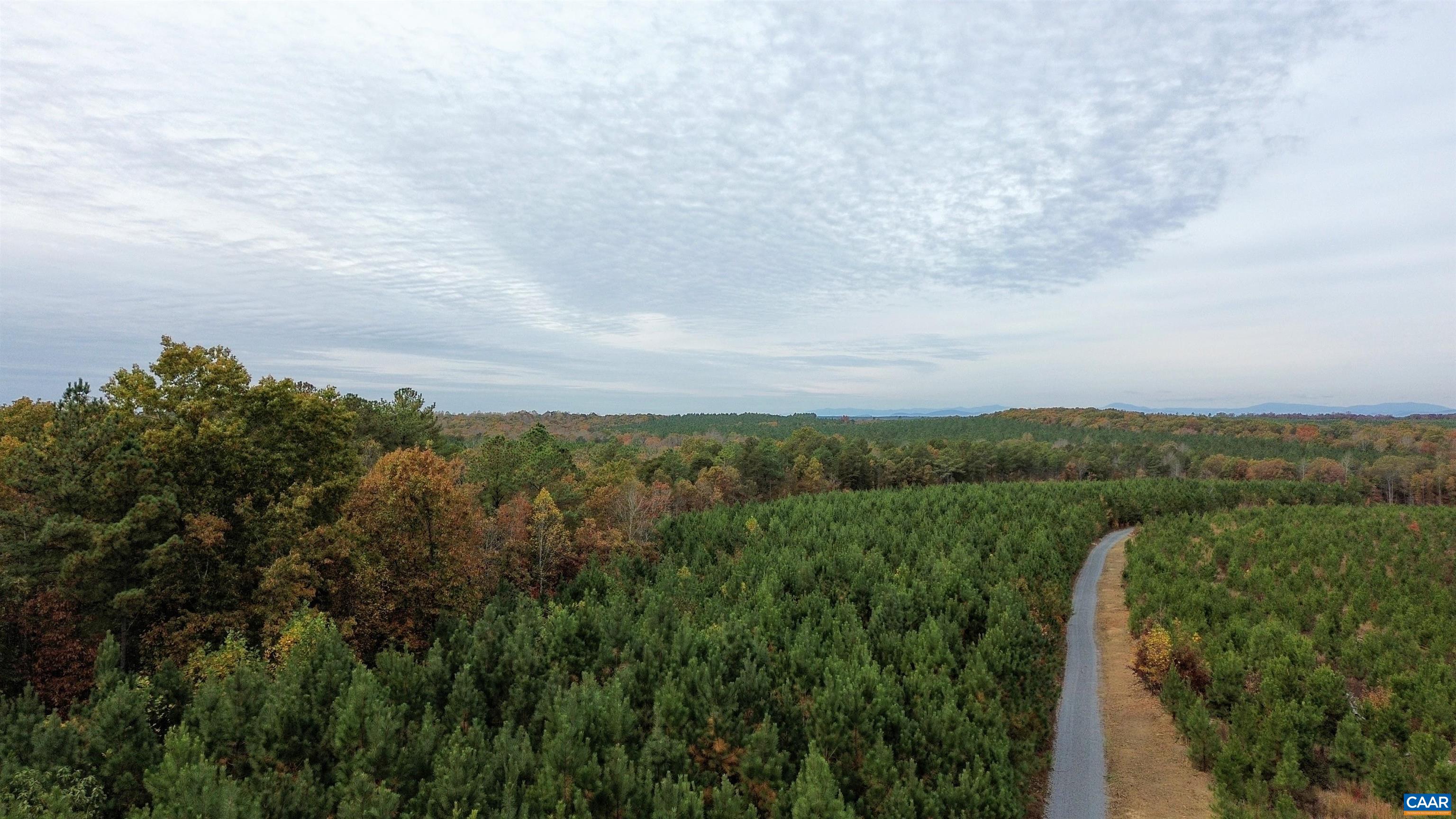 Tba Ridge Road Arvonia, VA 23004 - Photo 4 of 50 a view of a city with lush green forest