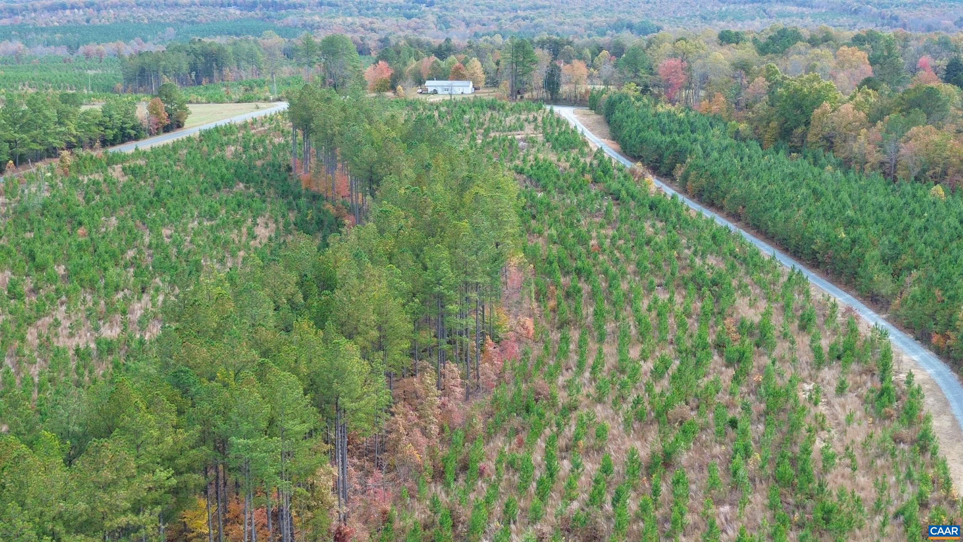 Tba Ridge Road Arvonia, VA 23004 - Photo 5 of 50 a view of a yard with plants and a bench